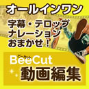 BeeCut 動画編集 (ダウンロード版)